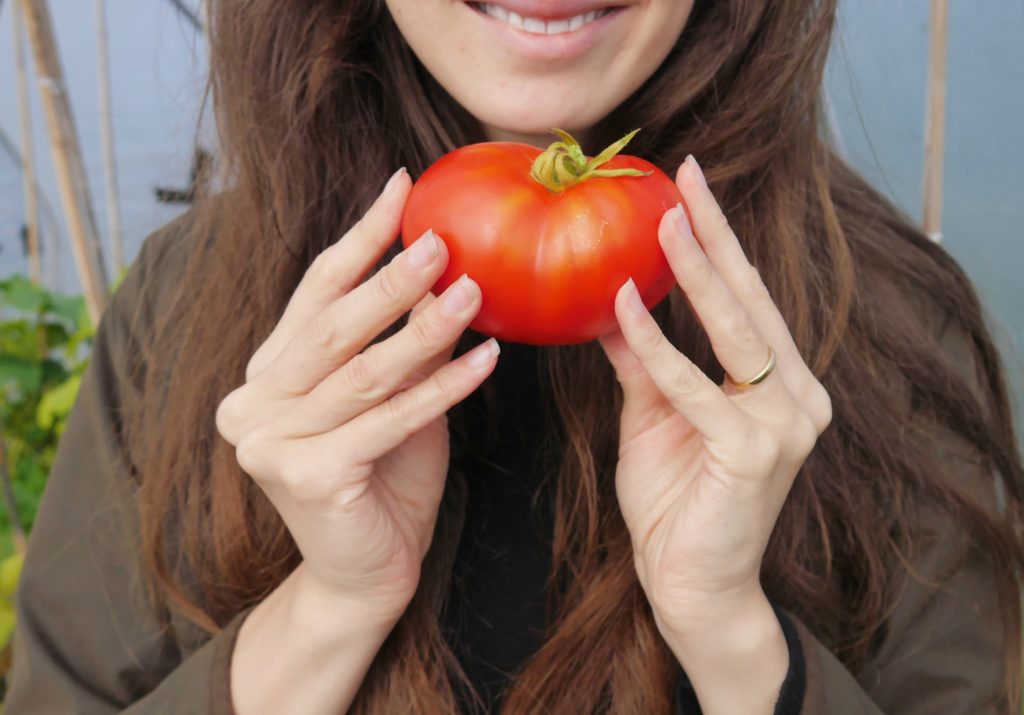 early-autumn-garden-diary-tomatoes